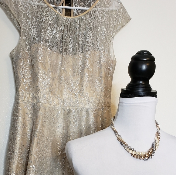 NEW RARE Slate & Willow Champagne Illusion Neckline Glistening Lace Spin Dress - Picture 12 of 16